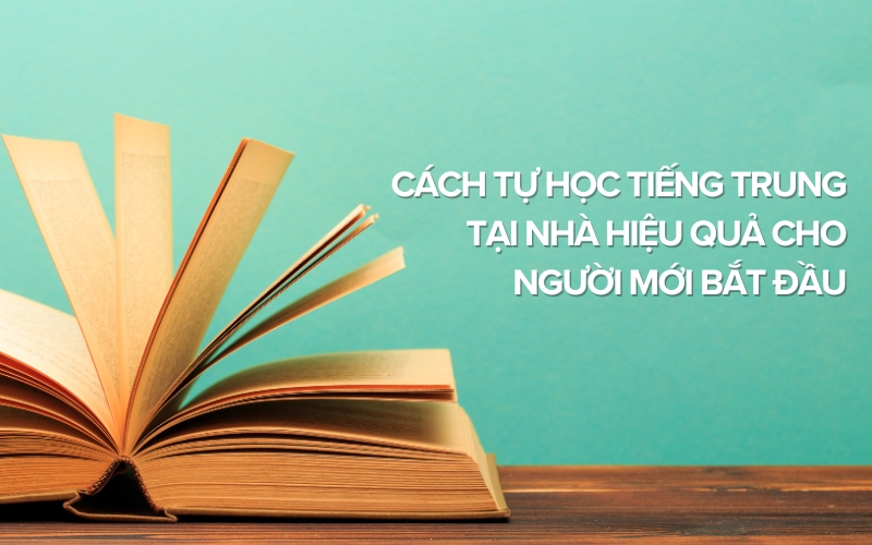 tự học tiếng trung cho người mới bắt đầu